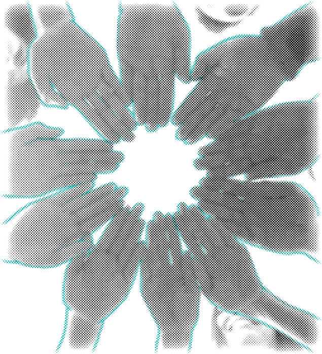 حمایت مردمی