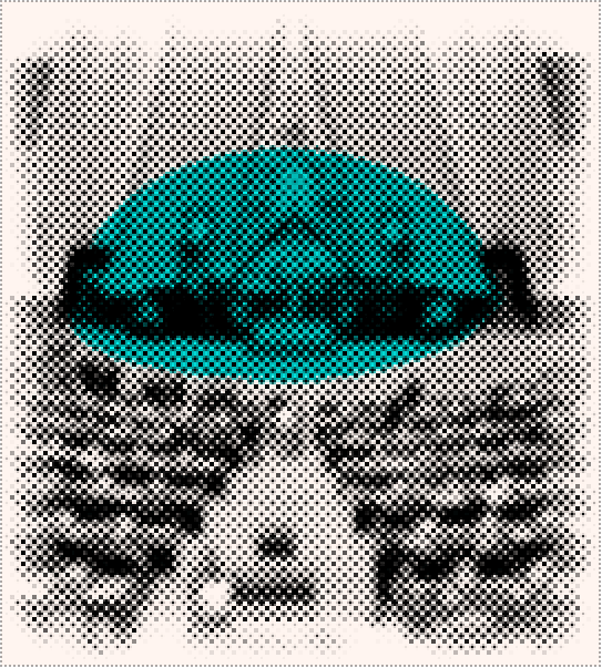 سیاسی و حکمرانی